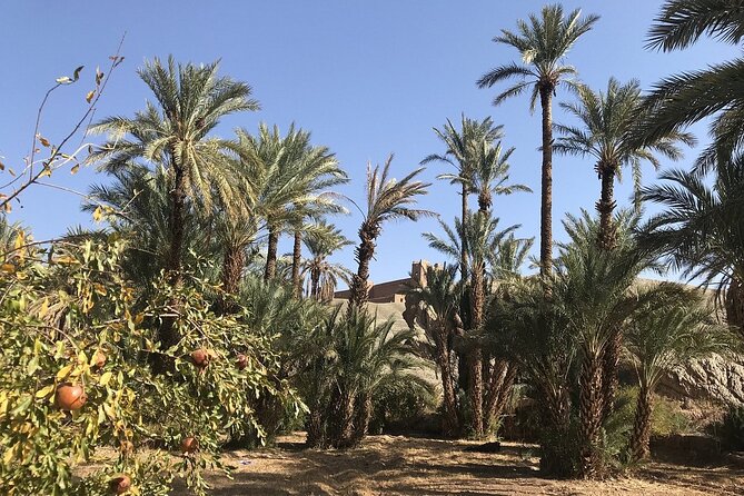 Tour from Ouarzazate to Vallee Du Draa and Dunes Of Tinfou - Guides, Vehicles, and the Private Format