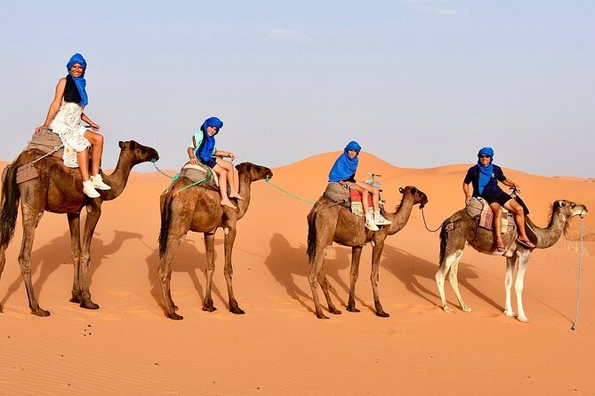 Tour from Ouarzazate to Vallee Du Draa and Dunes Of Tinfou - Who Will Get the Most From This Tour?