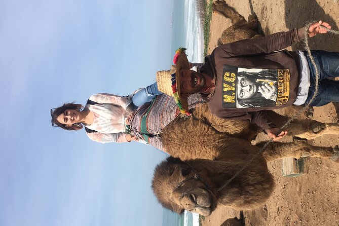 Tour of Tangier 1-2 people with camel ride - Walking through the medina and casbah