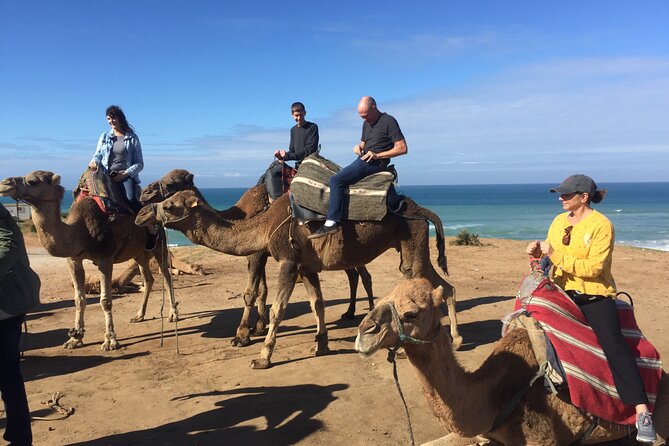 Tour of Tangier 3-6 people - What the $279.16 Group Price Really Means