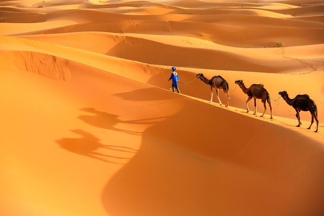 trip of your dreams in 3 days and 2 nights in the desert - Night one near Todra Gorge