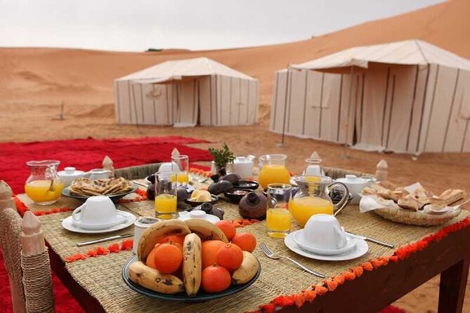 trip of your dreams in 3 days and 2 nights in the desert - The camel ride into Merzouga