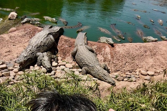 Trip To Croco Park - Why families tend to enjoy the park