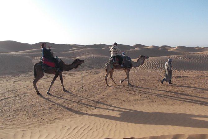 two days in the Zagora desert, Drâa valley from Marrakech - Sunset, camels, and a night near Zagora