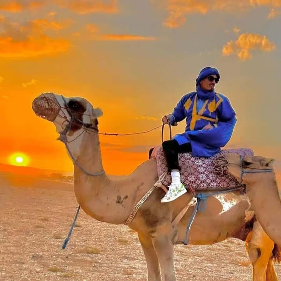 Unforgettable Desert Night: Dinner, Camel Ride & Quad Bike - Who will enjoy this desert night most?