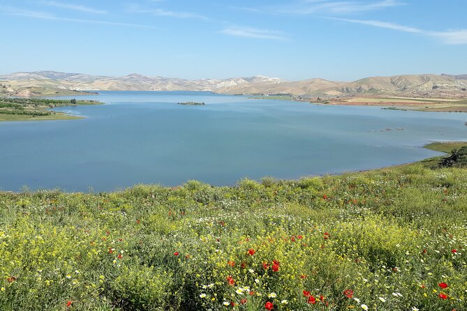Volubilis, Moulay Idriss and Meknes Day Trip from Fez - The driver, guides, and language flexibility
