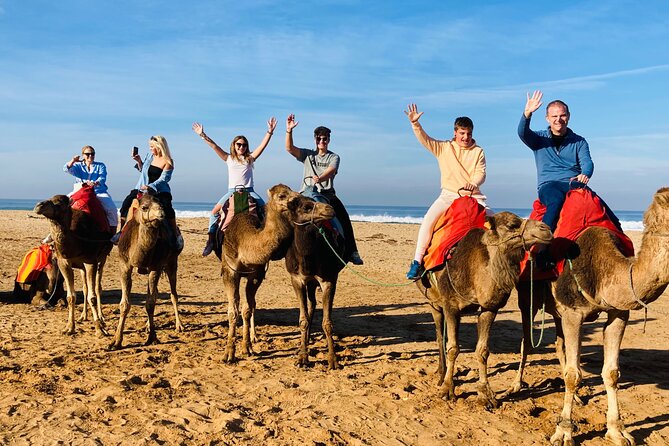 Walking Tangier Tour from ancient Kasba to Bustling Souks - Who will get the most from this walk