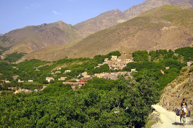 Waterfalls, Three valleys, Atlas Montains, Camels & Desert - Homemade Lunch in Aroumd With Valley Views