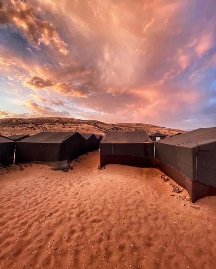 Zagora Desert: 2-Day 1-Night Desert Expedition to Remember - Key points at a glance