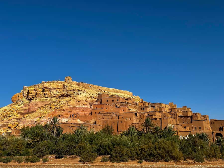 Zagora Desert: 2-Day 1-Night Desert Expedition to Remember - Guides, drivers, and the small-group setup